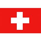 Zwitserse vlag 30X45cm