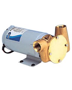 Jabsco Utility Puppy 2000 pump 24VDC NPT
