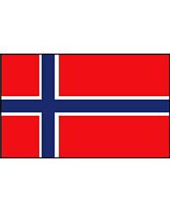 Noorse vlag 20X30cm