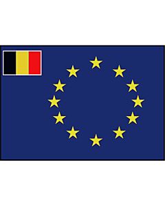 Raad Van Europa vlag België