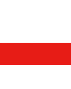 Poolse vlag 20X30cm