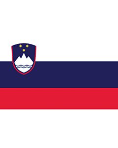 Sloveense vlag 20X30cm