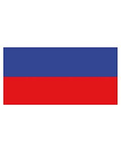 Russische vlag 20X30cm