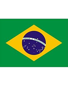 Brazil flag 30x45cm